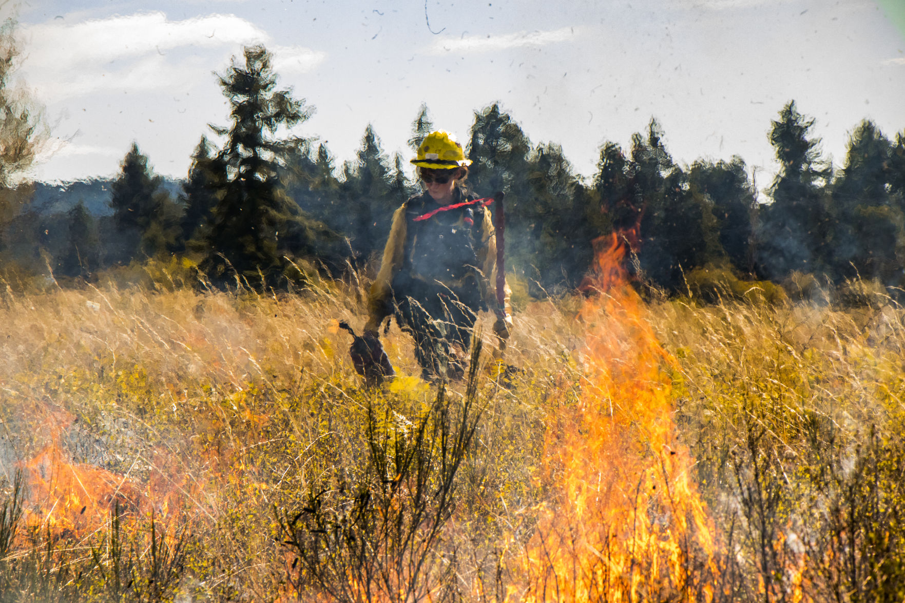 Prescribed Burns Ignite Across Western Washington